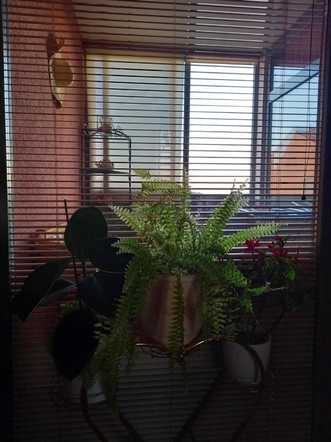 Rab Centar Due Apartment Palit ภายนอก รูปภาพ